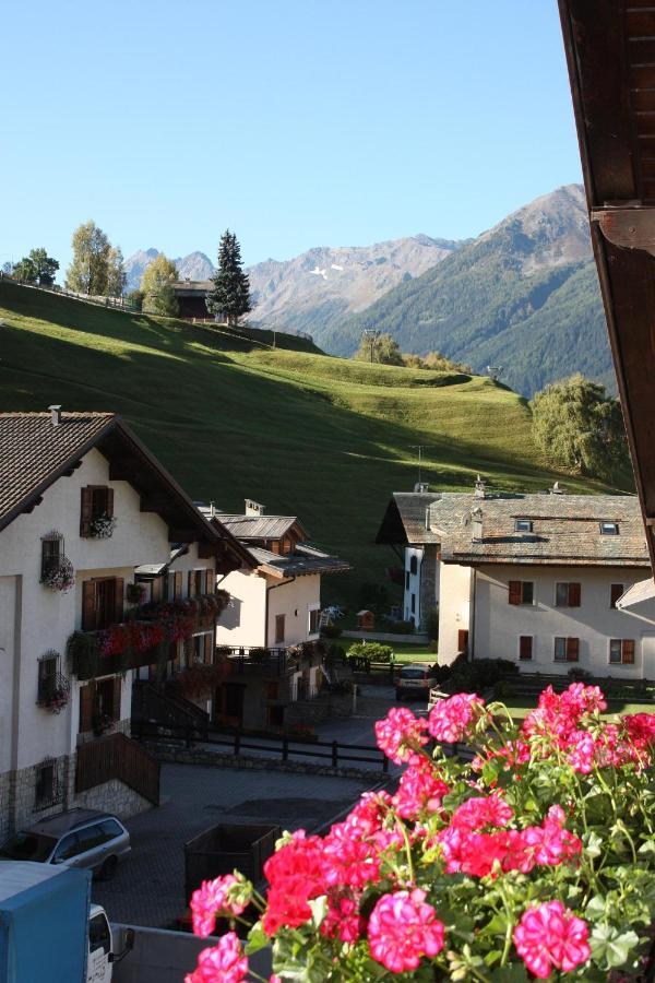 Chalet Stelvio Bormio Exterior foto